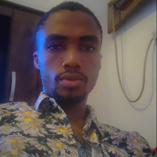 Daniel D. profile photo