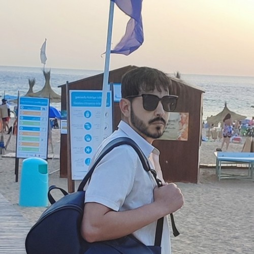 hamza m.