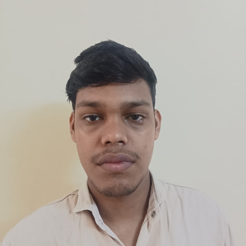 Ankit L.