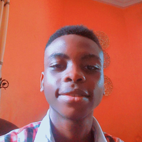 David B. profile photo