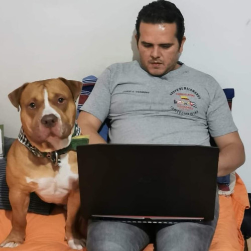 Andy C. profile photo