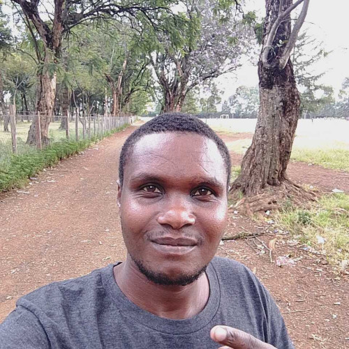 Dennis P. profile photo