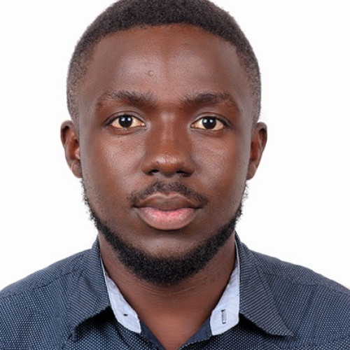 Allan M. profile photo