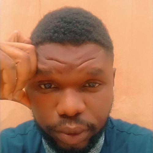 Oluwaseun S. profile photo
