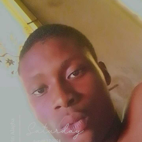 olamilekan w. profile photo