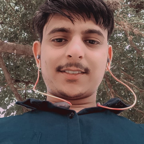 Ankit  S. profile photo