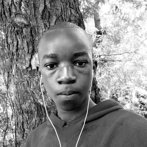David M. profile photo
