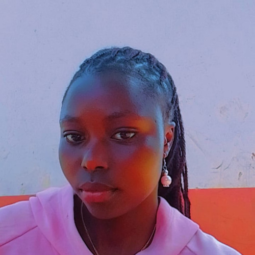 birichani v. profile photo