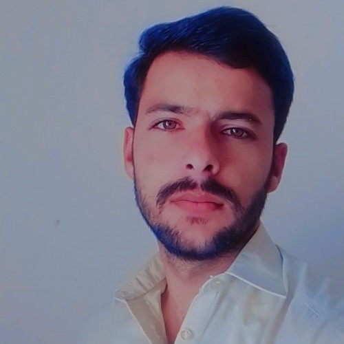 Zulqarnain  Q. profile photo