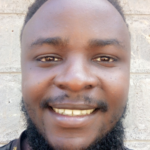 Austin K. profile photo