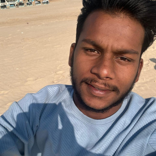 Manish  M. profile photo
