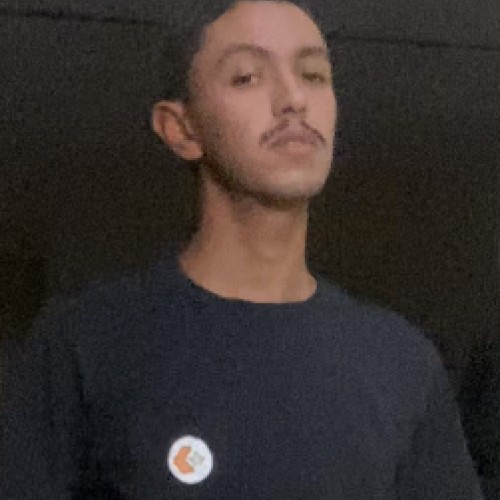 Mohamed L.
