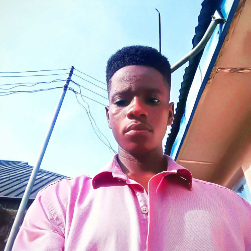 Lazarus N. profile photo