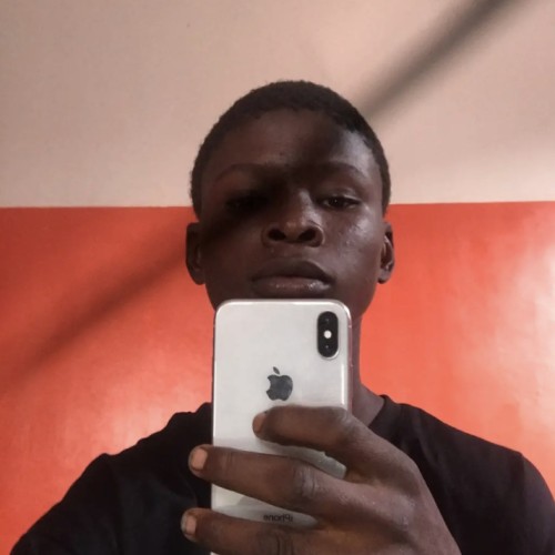 David D. profile photo