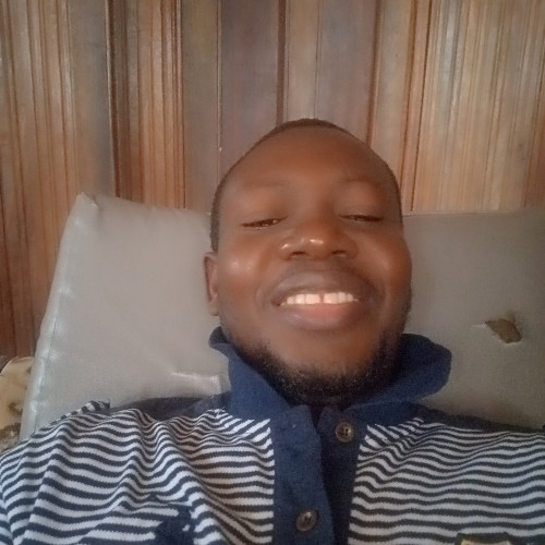 Olawale L.