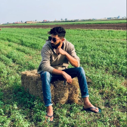 Moad  Z. profile photo