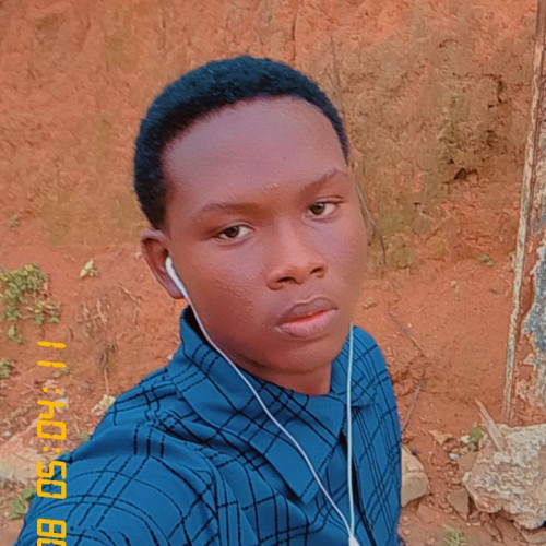T BOY ADEMI A. profile photo
