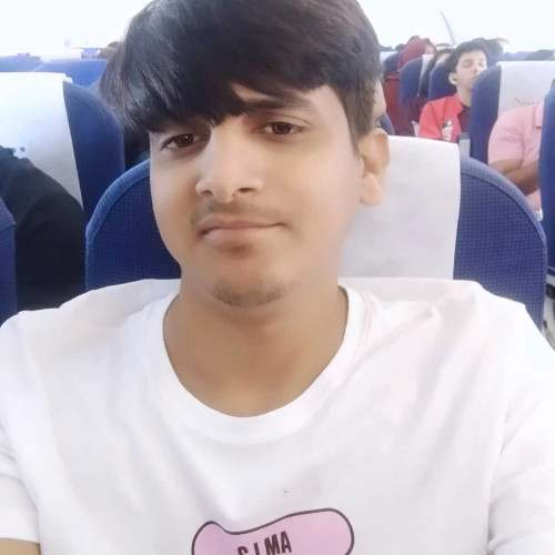 ankush n. profile photo