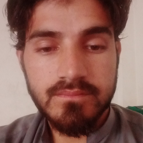 Muhammad N. profile photo