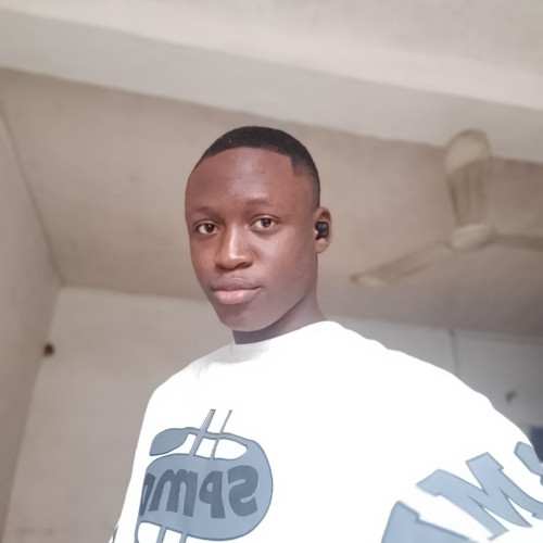 Miftaudeen O. profile photo