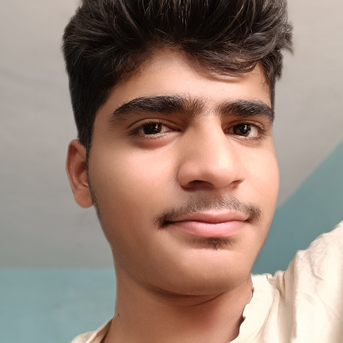 Faiz  S. profile photo