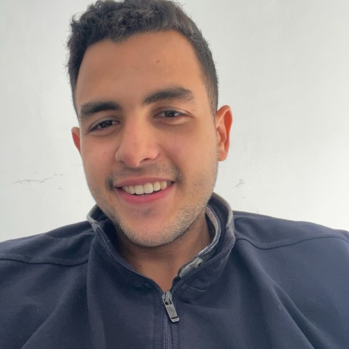 Abdelaali M.