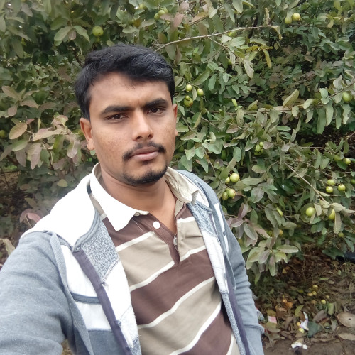 Haseeb J. profile photo