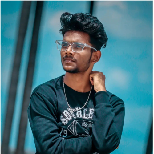 koushik r.