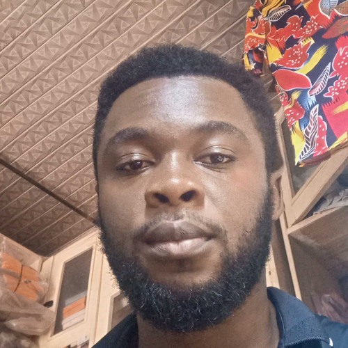 Kingsley O. profile photo