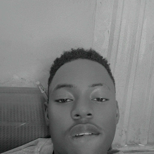 Alex M. profile photo