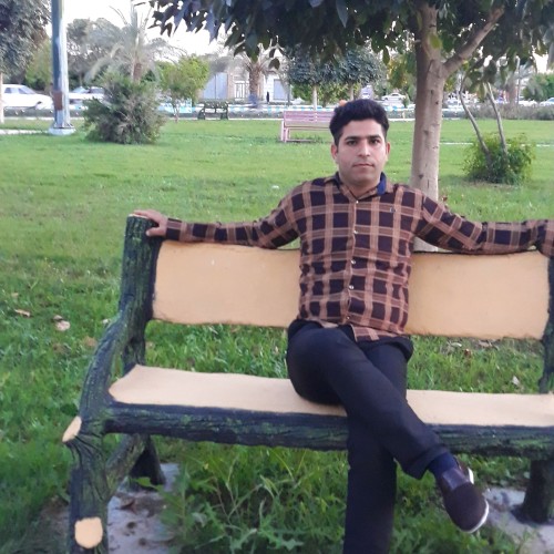 hasan s.