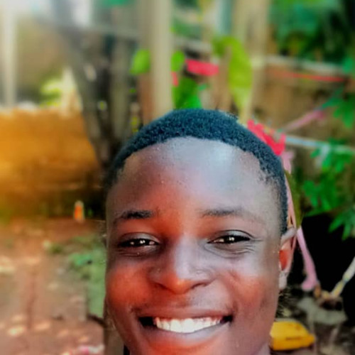 Daniel D. profile photo