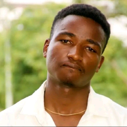 Henry S. profile photo