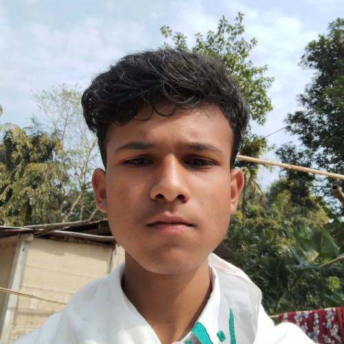 BiswaJyoti N.