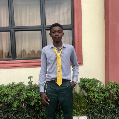MUSTAPHA M. profile photo