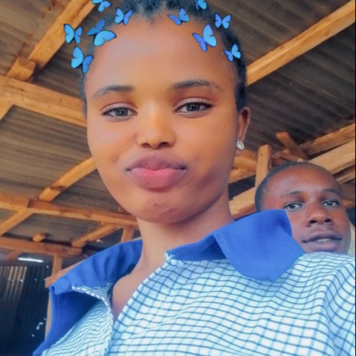 Paul O. profile photo
