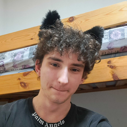 Michael M. profile photo