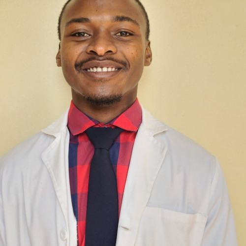 Panashe M.