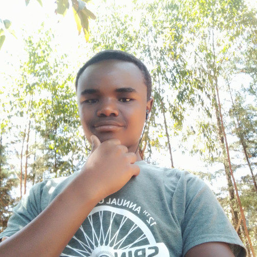 Vikitam  N. profile photo