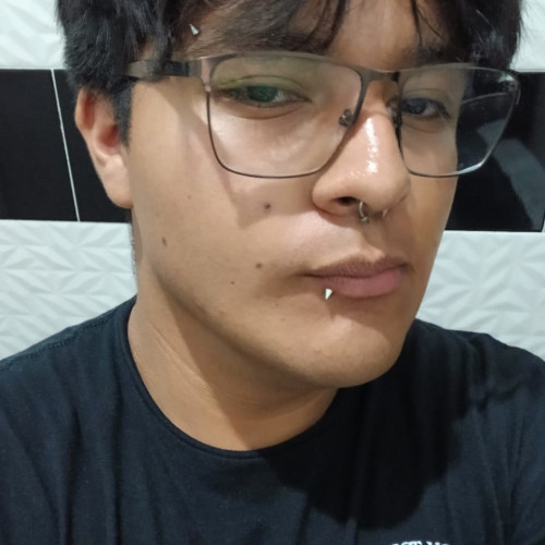 Sebastin S. profile photo