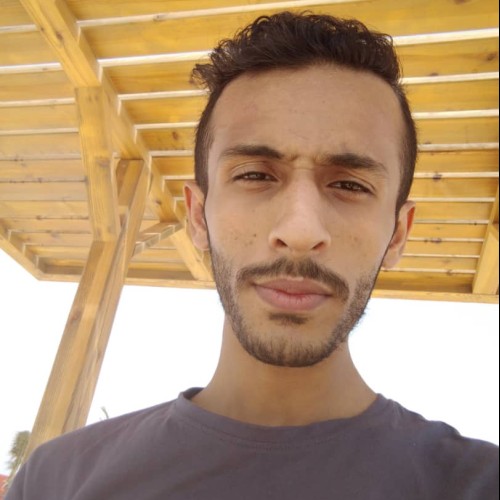 Abdulaziz A.