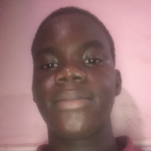 ODUNLAMI  H. profile photo