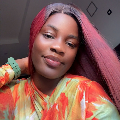 oluwasheyilayo u. profile photo
