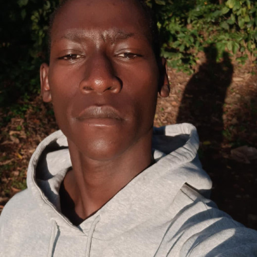 Allan Z. profile photo