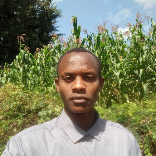 Lokomol G. profile photo