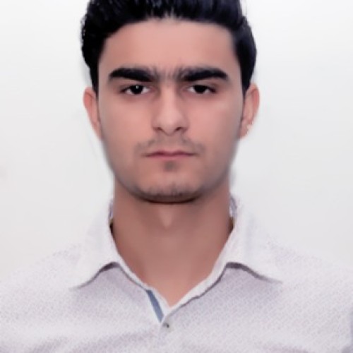 Nitin P.