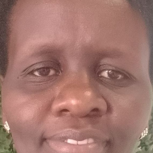 Nolari N. profile photo