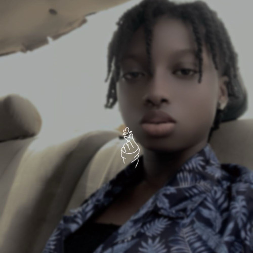 aderinsola I. profile photo