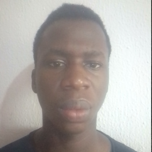 Chidubem  N. profile photo
