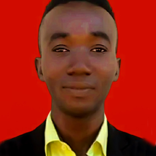 OLALEKAN O. profile photo